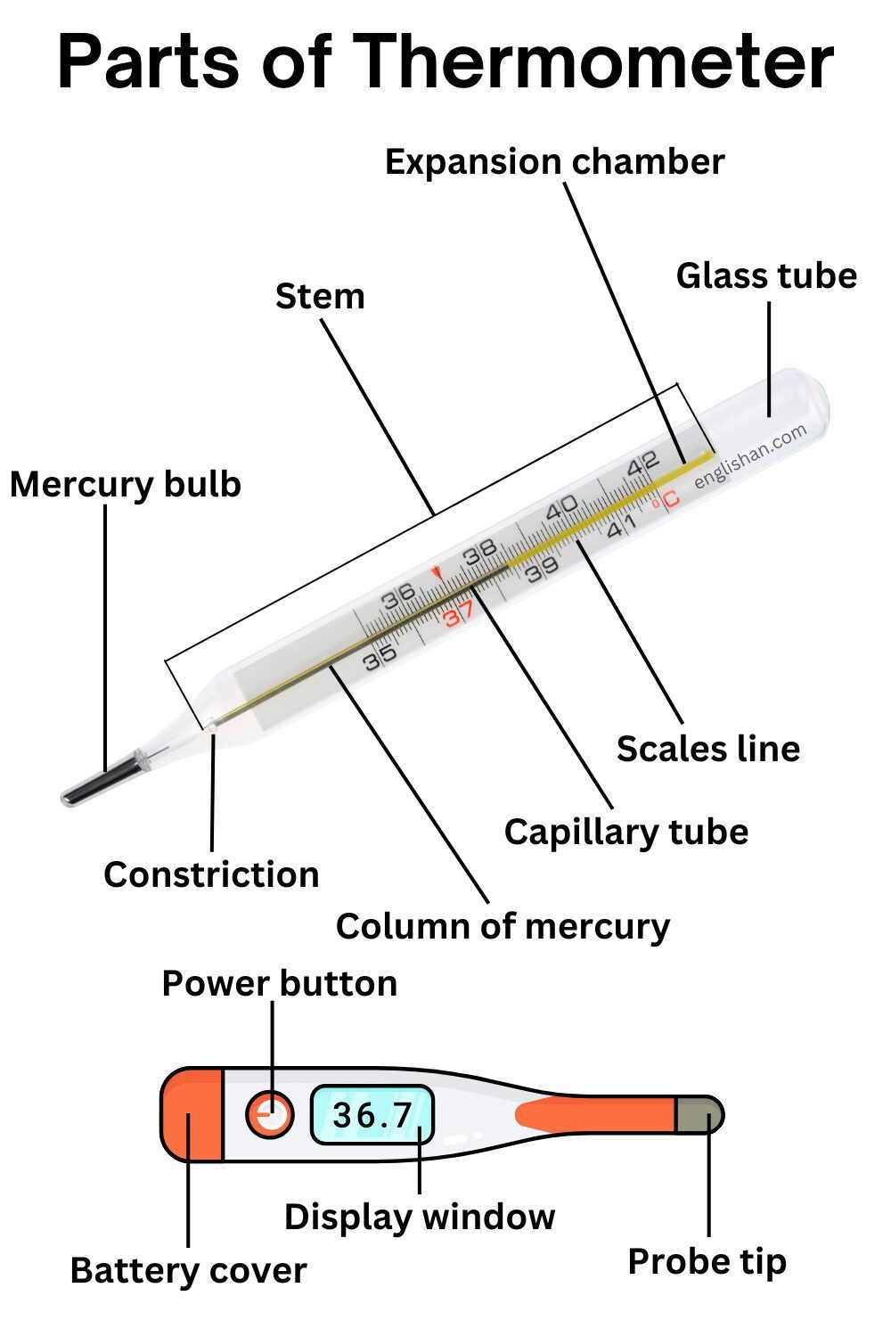 Parts Of Thermometer Names In English Englishan