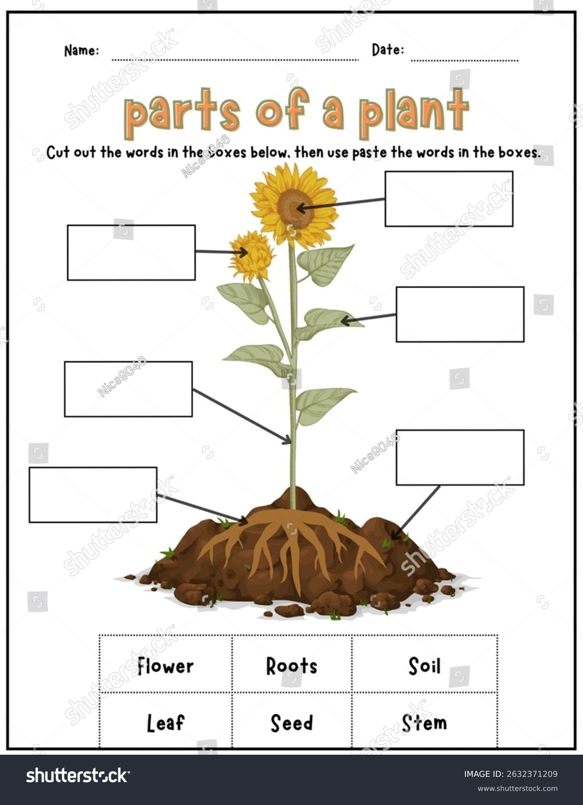 Parts Plant Worksheet Cut Paste Activitythis Worksheet Stock Illustration 2632371209 Shutterstock