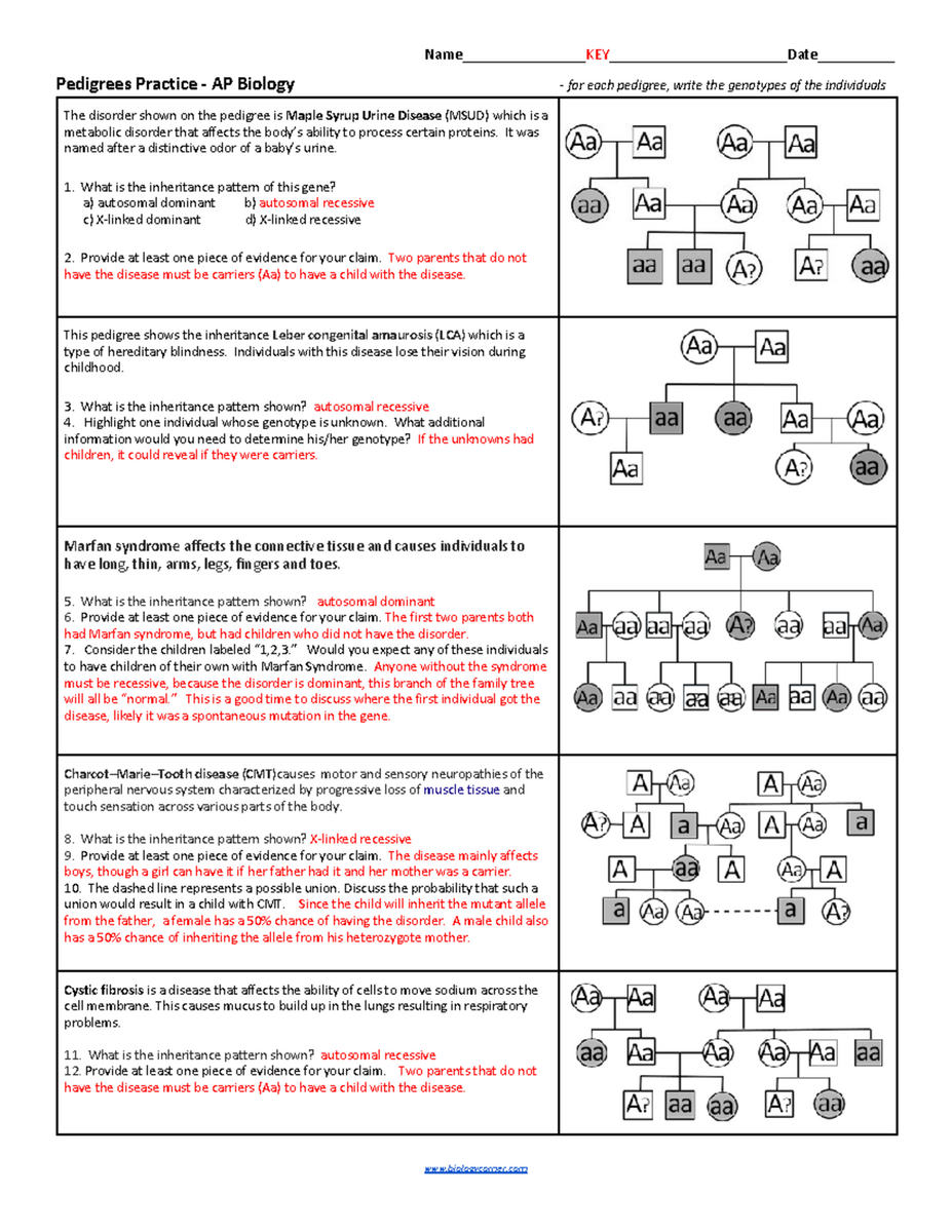 Pedigree Analysis Practice Questions APBiology KEY 1 Studocu
