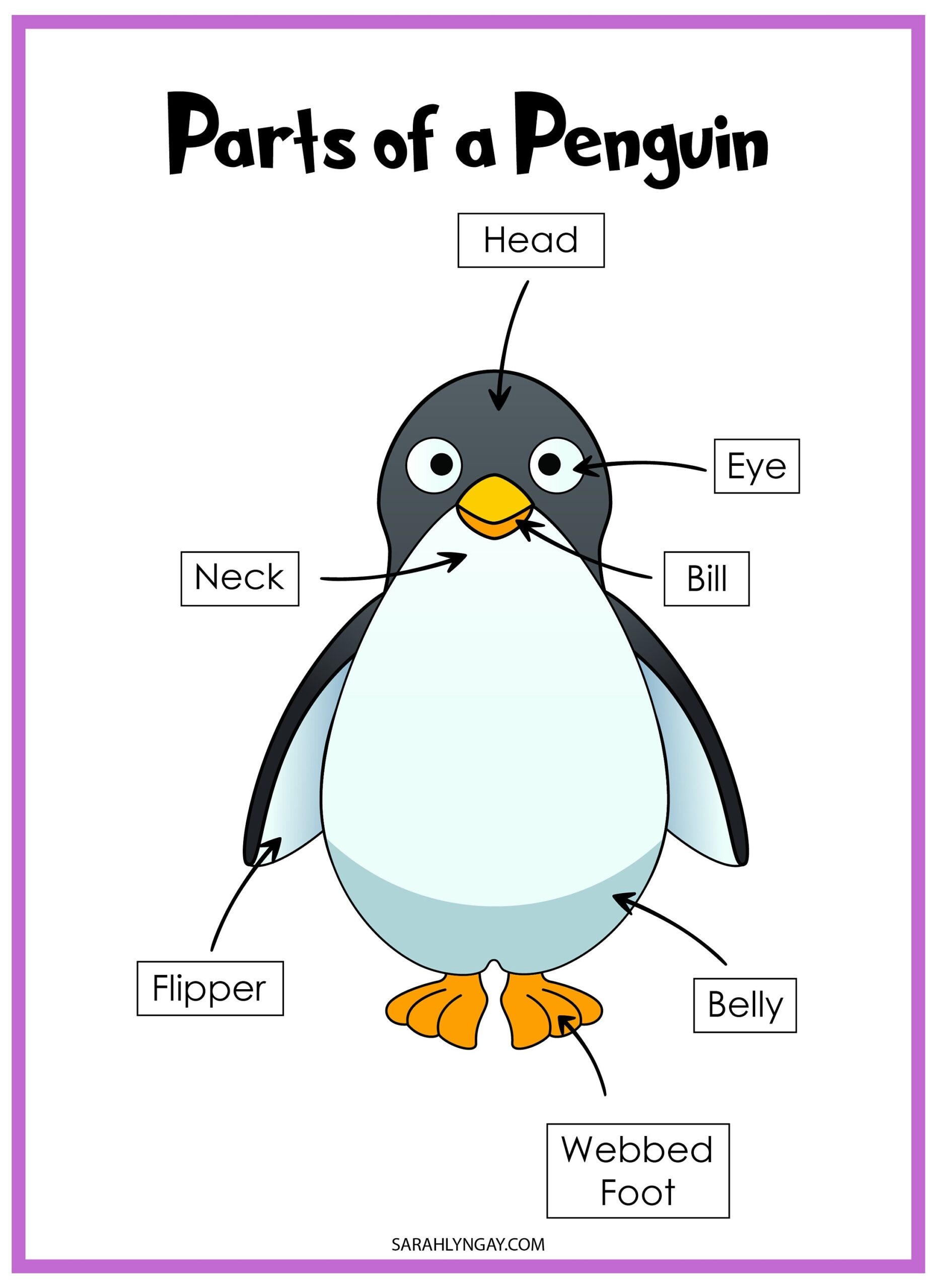 Penguin Printables Penguin Life Cycle Birds All About Penquins Instant Download STEM Workbook Digital Download Kid S Workbook Etsy