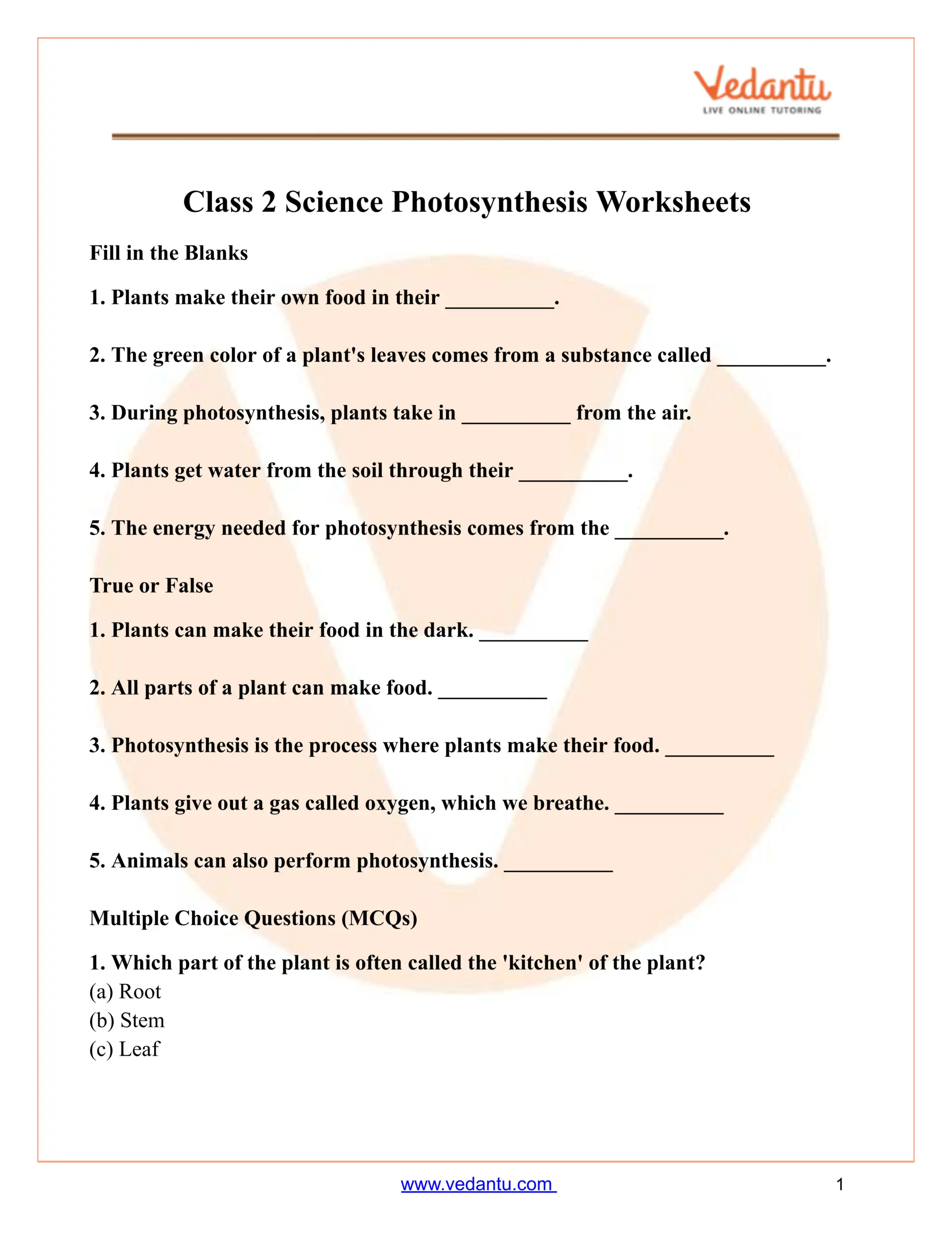 Photosynthesis Worksheet For Class 2 Science Free PDF Photosynthesis Worksheet For Class 2 Science Free PDF