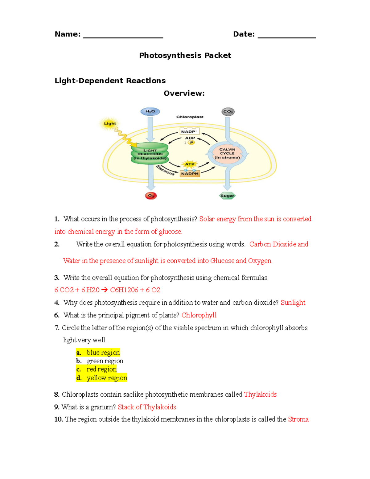 Photosynthesis Worksheet V2 Short 2018 With Answer Key Studocu