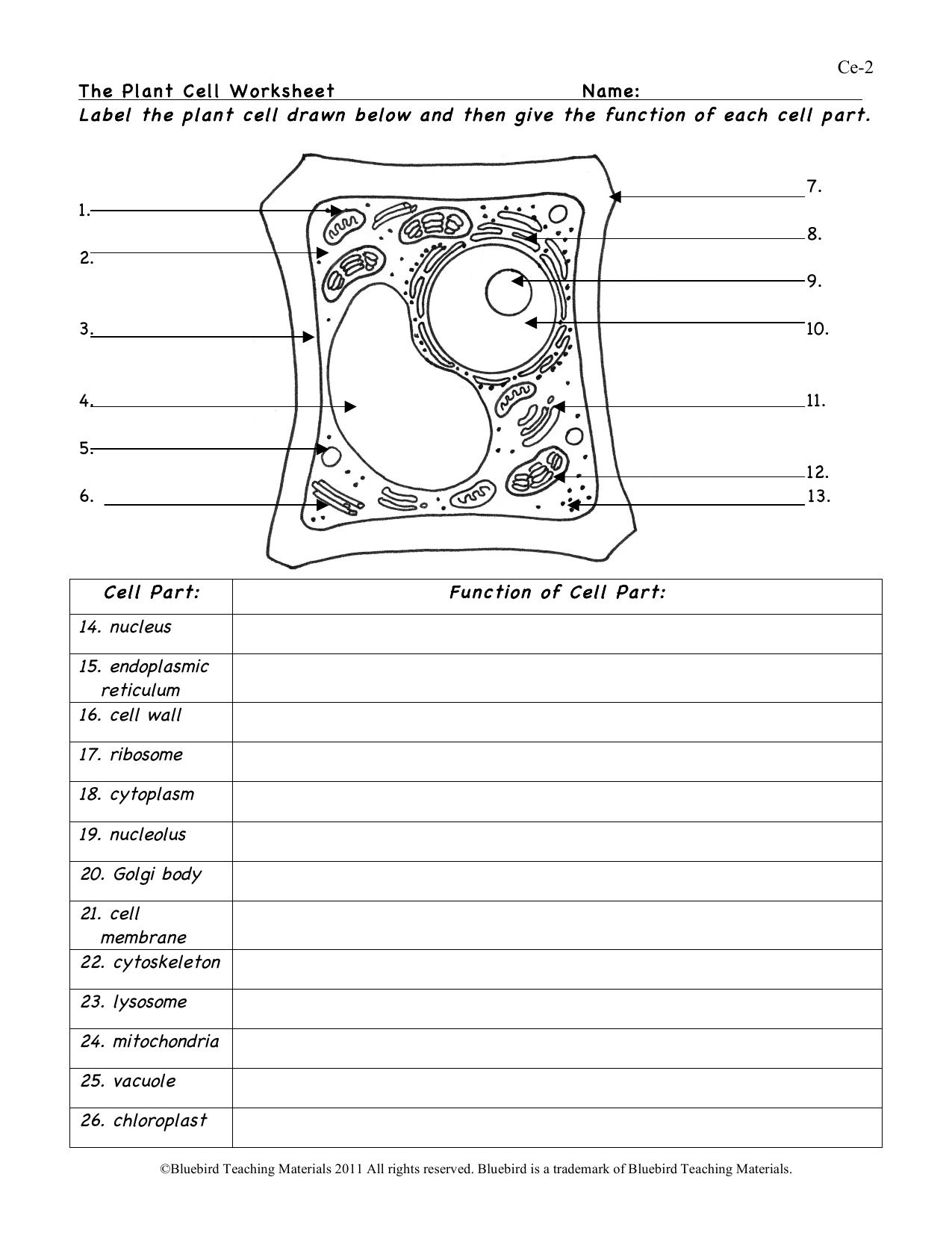 Plant Cell Worksheet Label Define Cell Parts