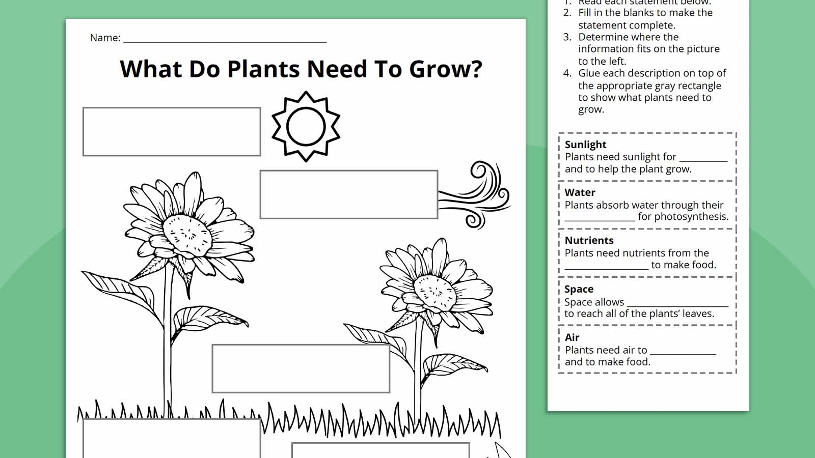 2nd 3rd 4th 5th Plant Life Cycle Parts Labeling Diagram