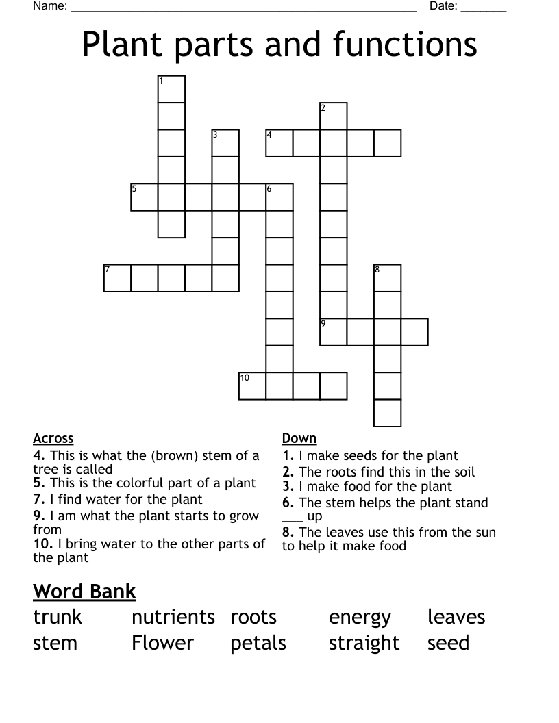 Plant Parts And Functions Crossword WordMint