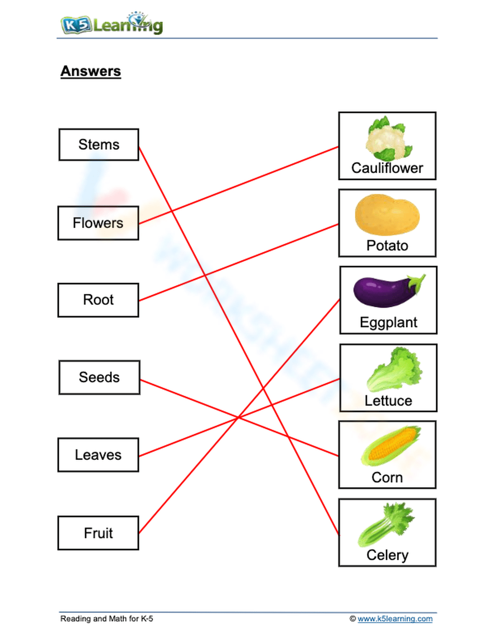 Plant Parts We Eat 2 Worksheet Plant Parts We Eat 2 Worksheet