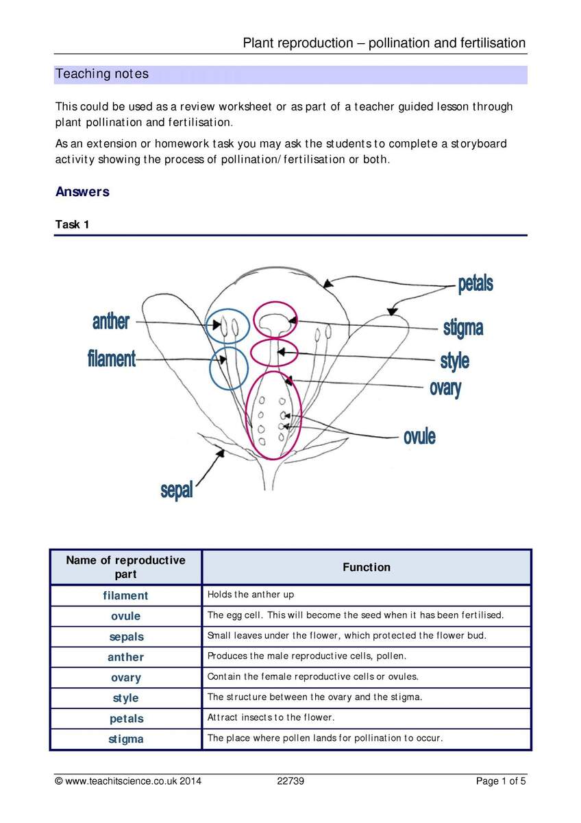 Plant Reproduction Pollination And Fertilisation Teachit Science