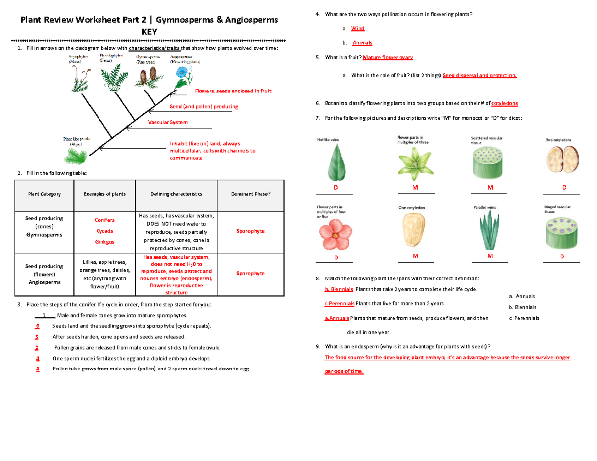 Plant Review Worksheet Part 2 KEY Gymnosperms Angiosperms Insights Studocu