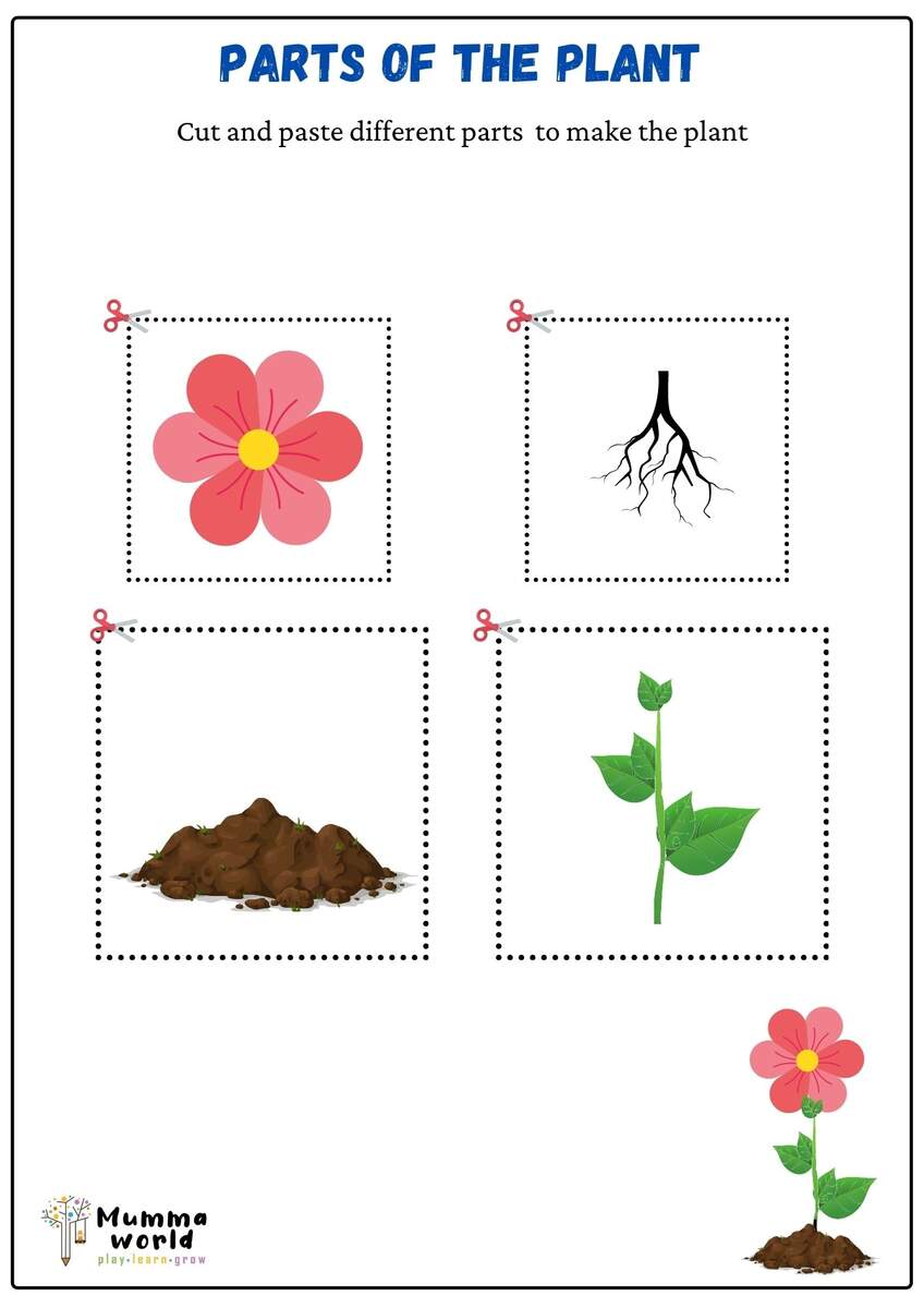 Plants Cut And Paste Worksheets Library Worksheets Library