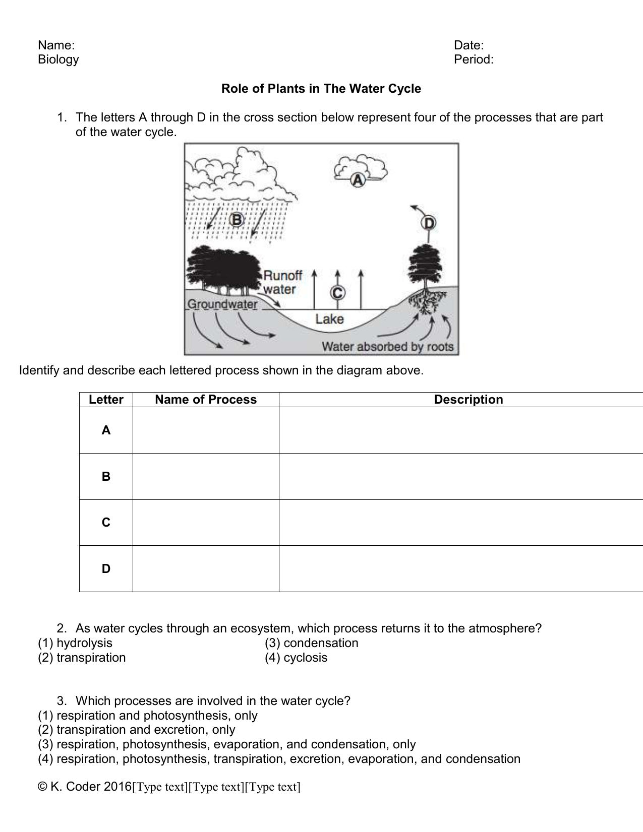 Photosynthesis Worksheet V2 Short 2018 With Answer Key Studocu