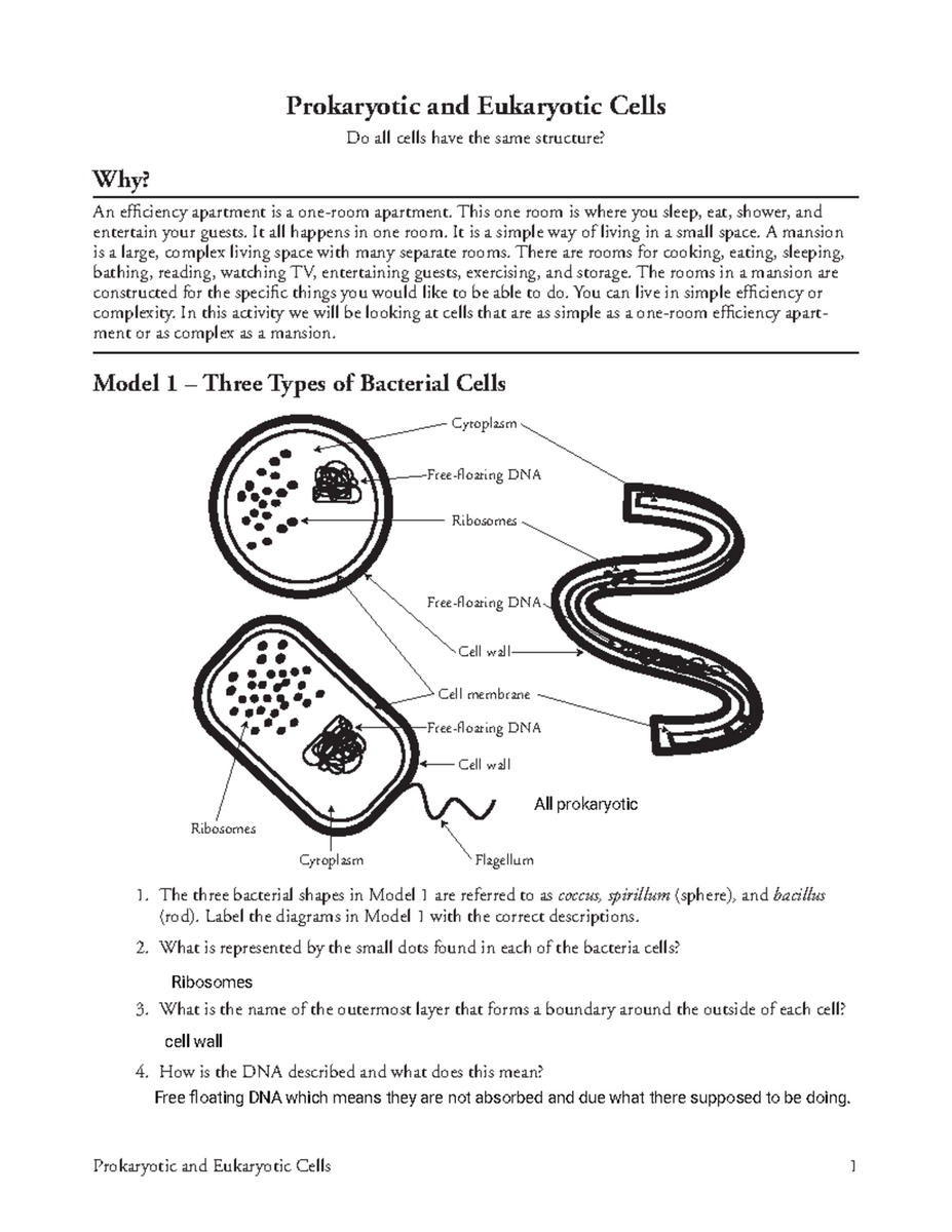 Pogil 1 Prokaryotic And Eukaryotic Cells Overview And Comparisons Studocu