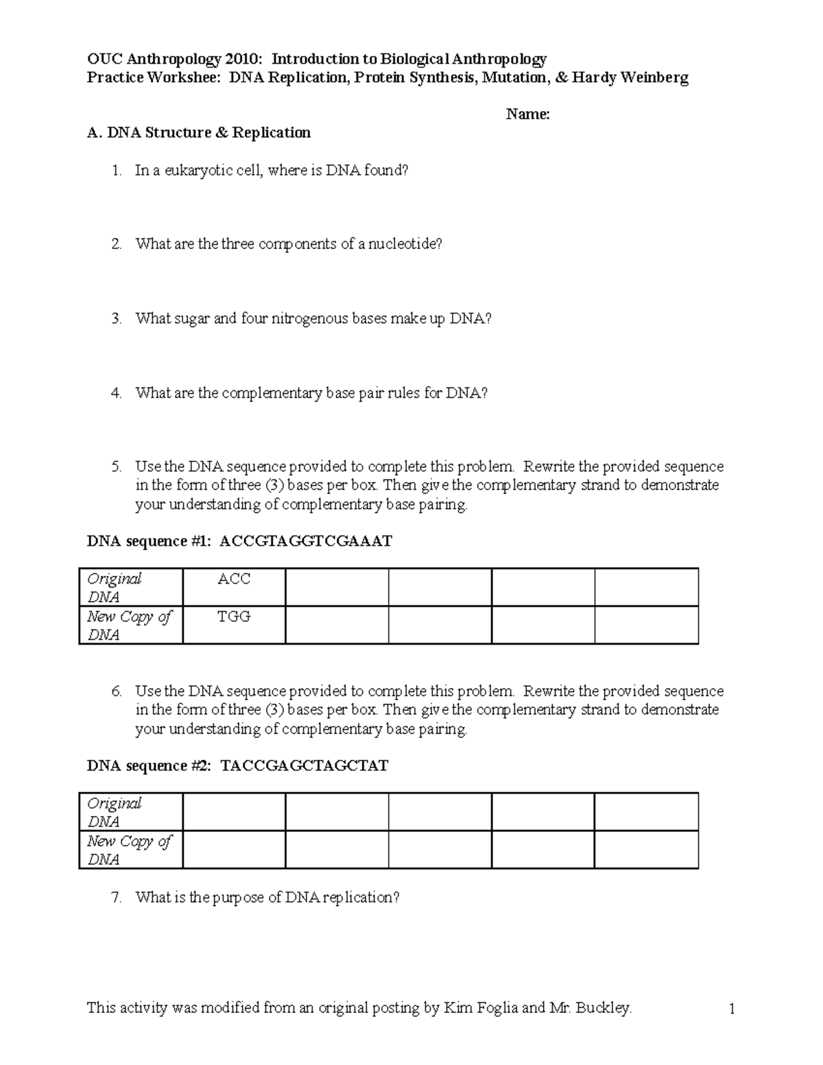 Practice Worksheet DNA Replication Protein Synthesis Hardy Weinberg Studocu