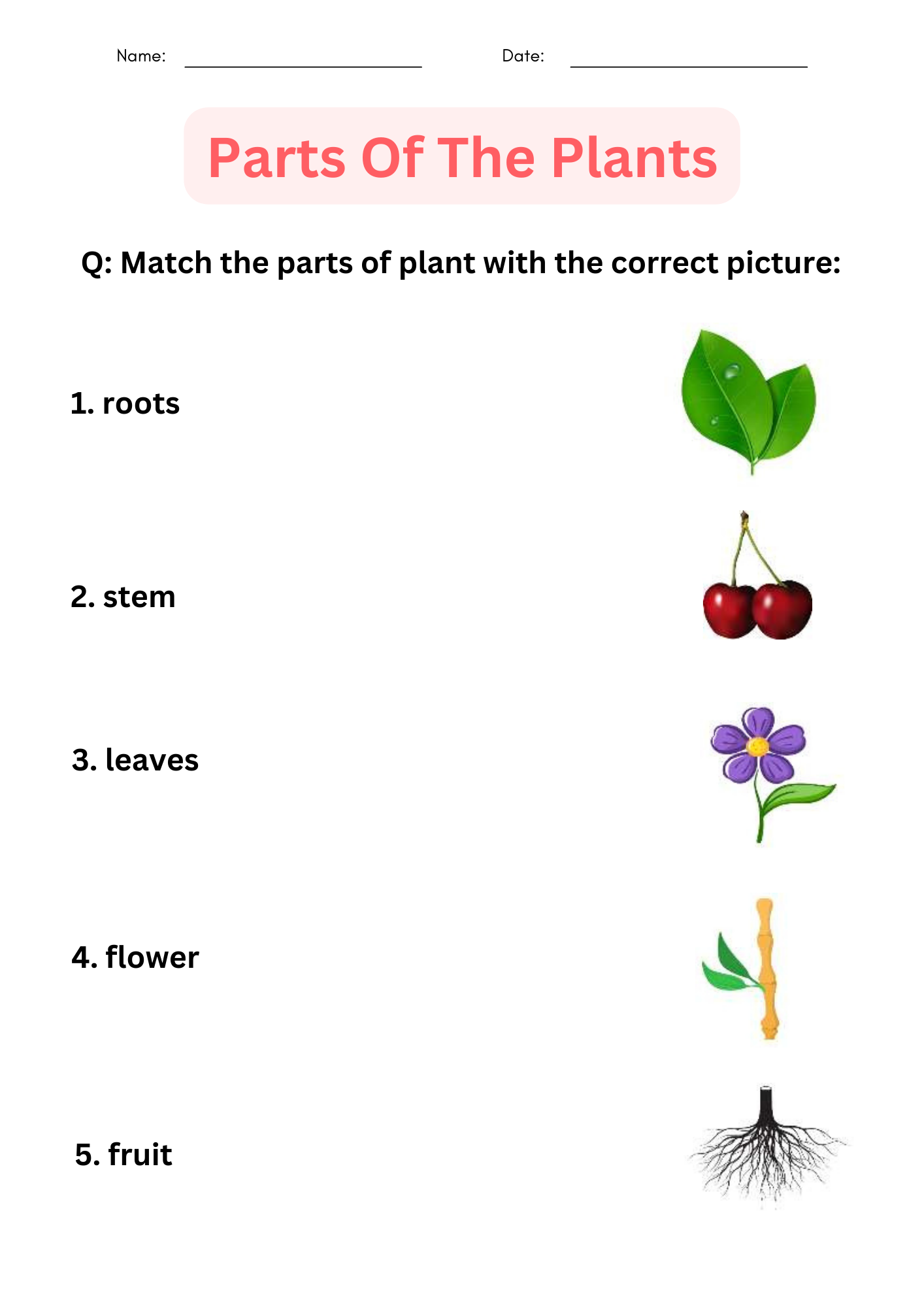Printable Activities Parts Of A Plant Worksheet For Kindergarten Made By Teachers Parts Of A Plant Biological Science Worksheet Top Teacher