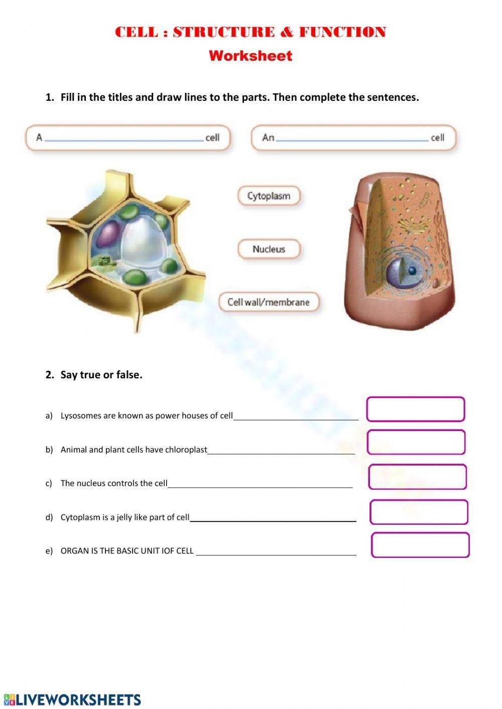 Parts Of The Cell And Their Functions Worksheet WordMint