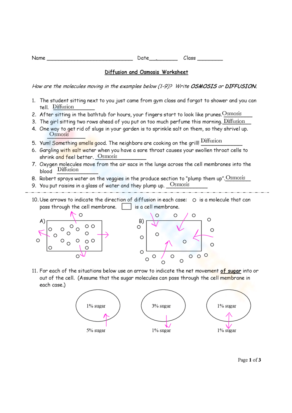 Printable Diffusion And Osmosis Worksheets Printable Diffusion And Osmosis Worksheets
