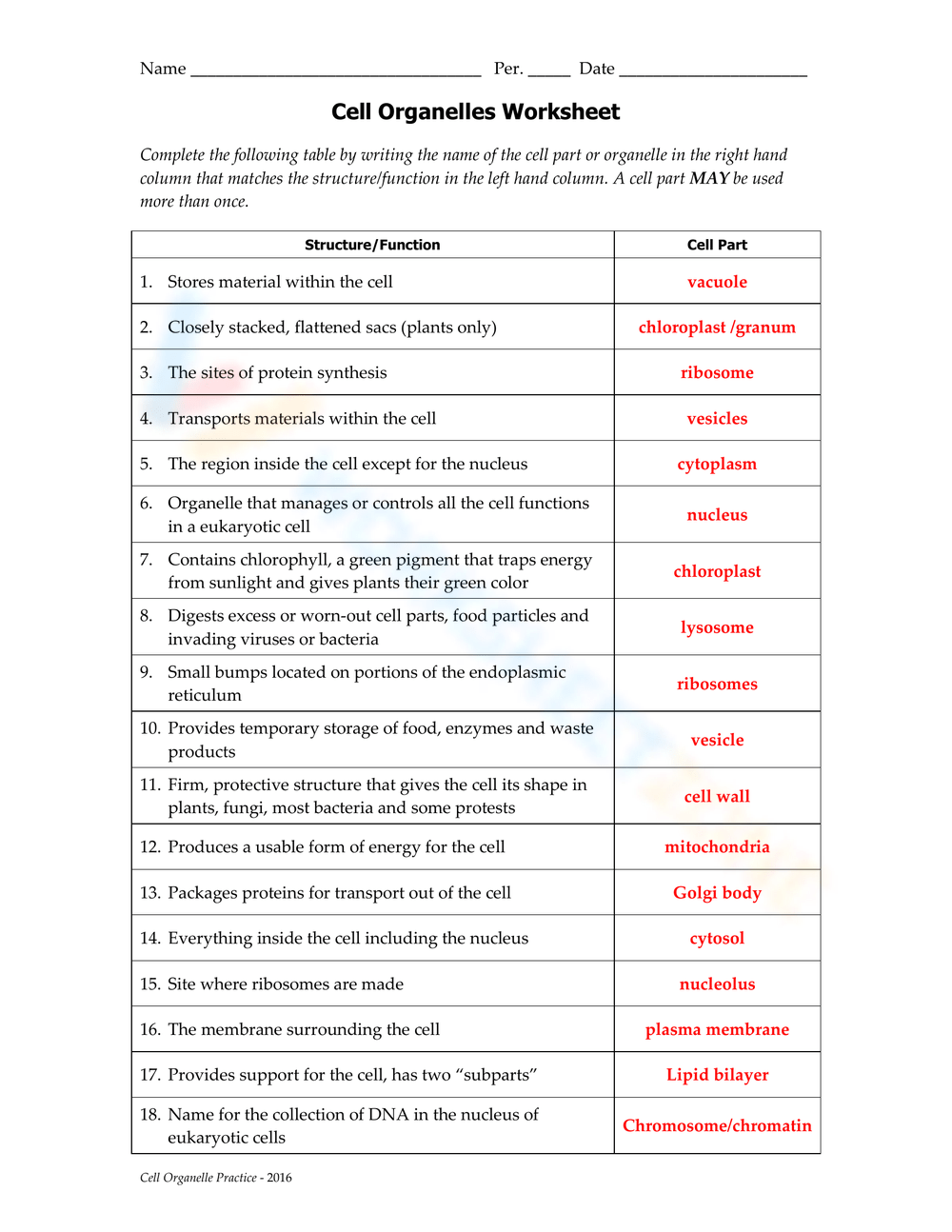 Printable Grade 6 Cell Organelles Worksheets