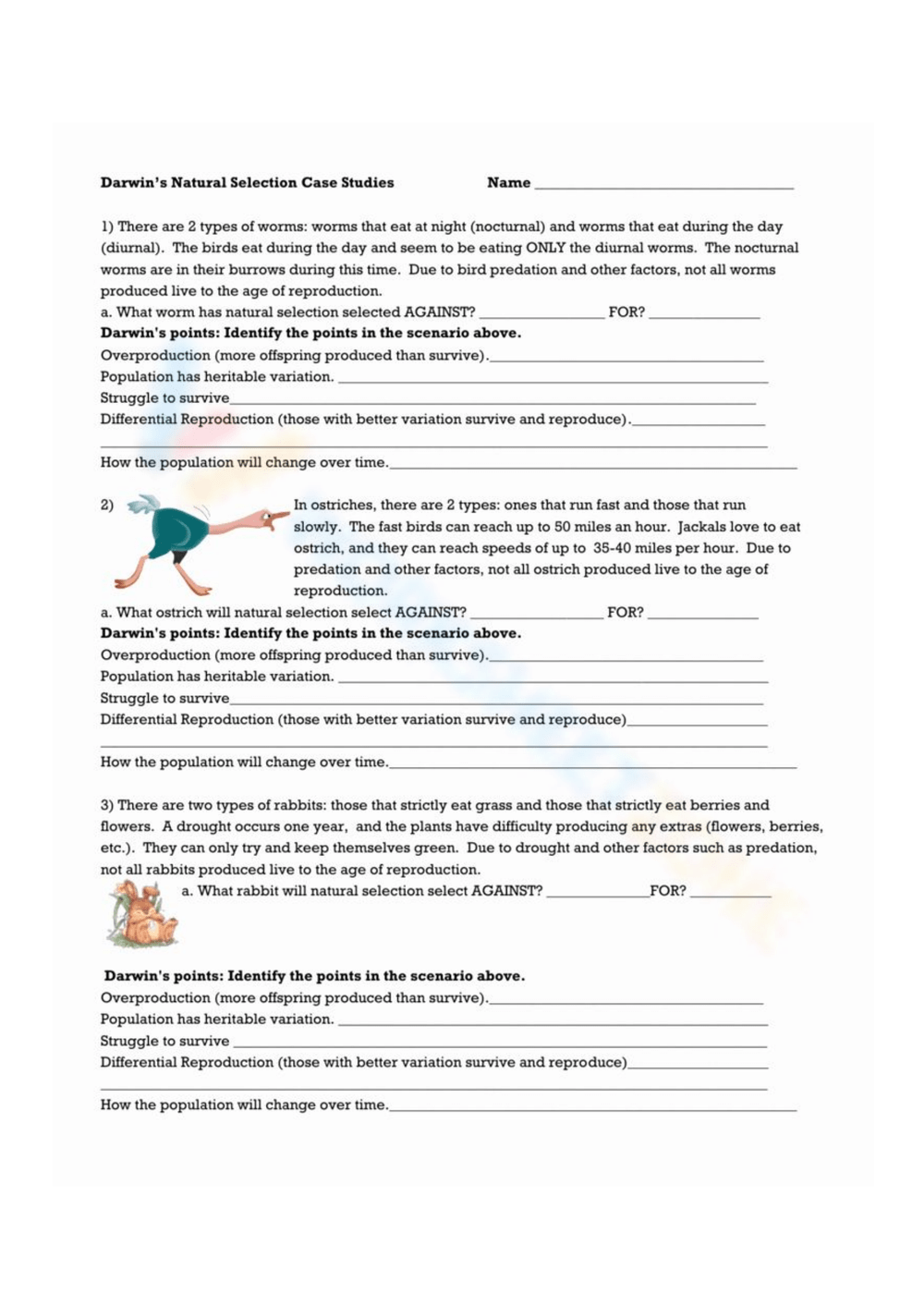 Printable Grade 8 Easter Natural Selection Worksheets