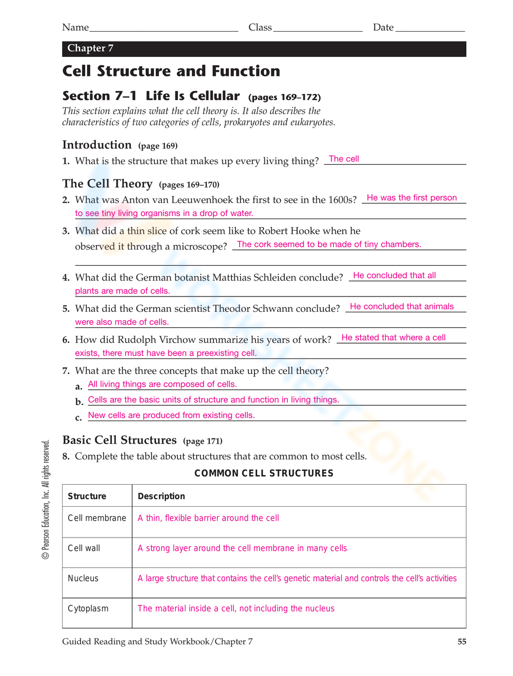 Cell Structure And Function Worksheet Cell Organelles Worksheets Library