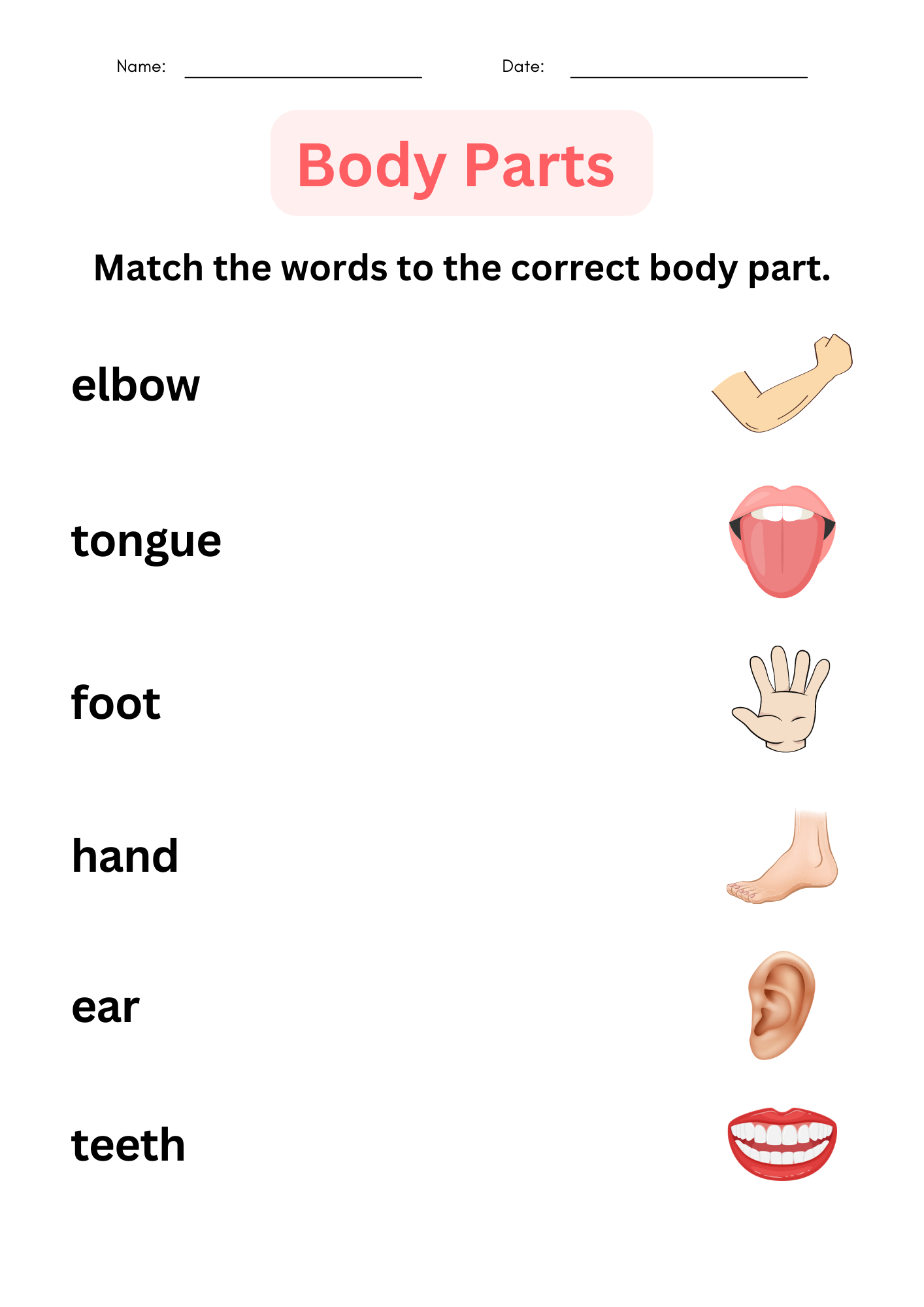Body Parts Matching Activity Printable Toddler Busy Book Pages Learning Binder Activity Pages Homeschool Resource Etsy