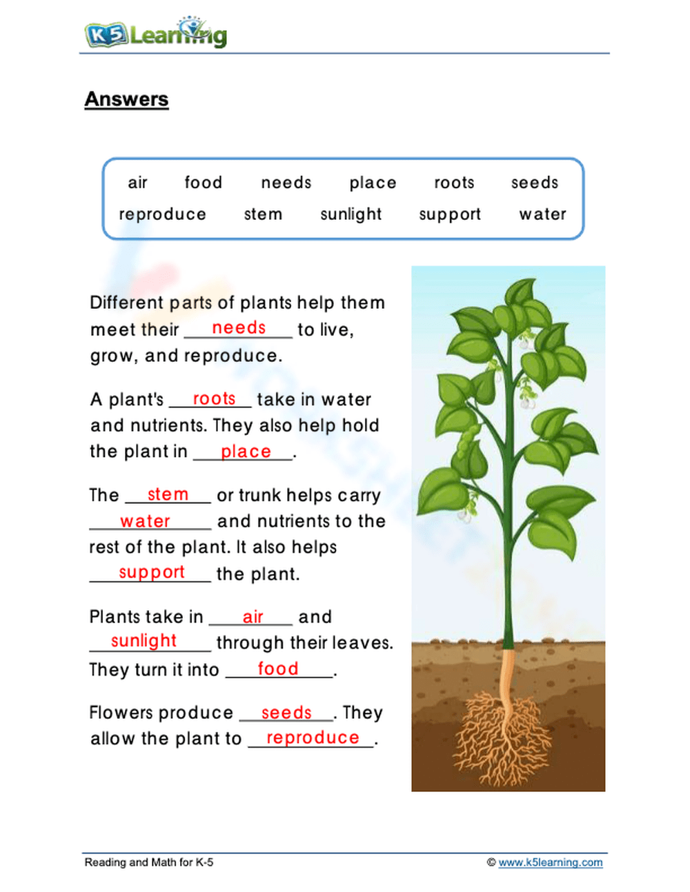 Plant Parts ESL Worksheet By Ealcahud