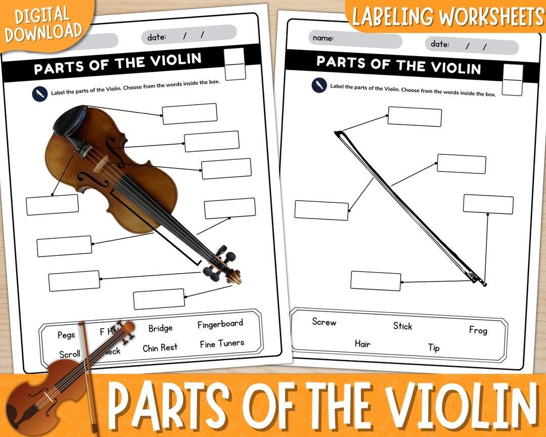 Printable Parts Of The Violin Labeling Worksheets With Answer Keys Violin Diagram Label The Violin Parts Of The Instrument PDF Etsy Printable Parts Of The Violin Labeling Worksheets With Answer Keys Violin Diagram Label The Violin Parts Of The Instrument PDF Etsy