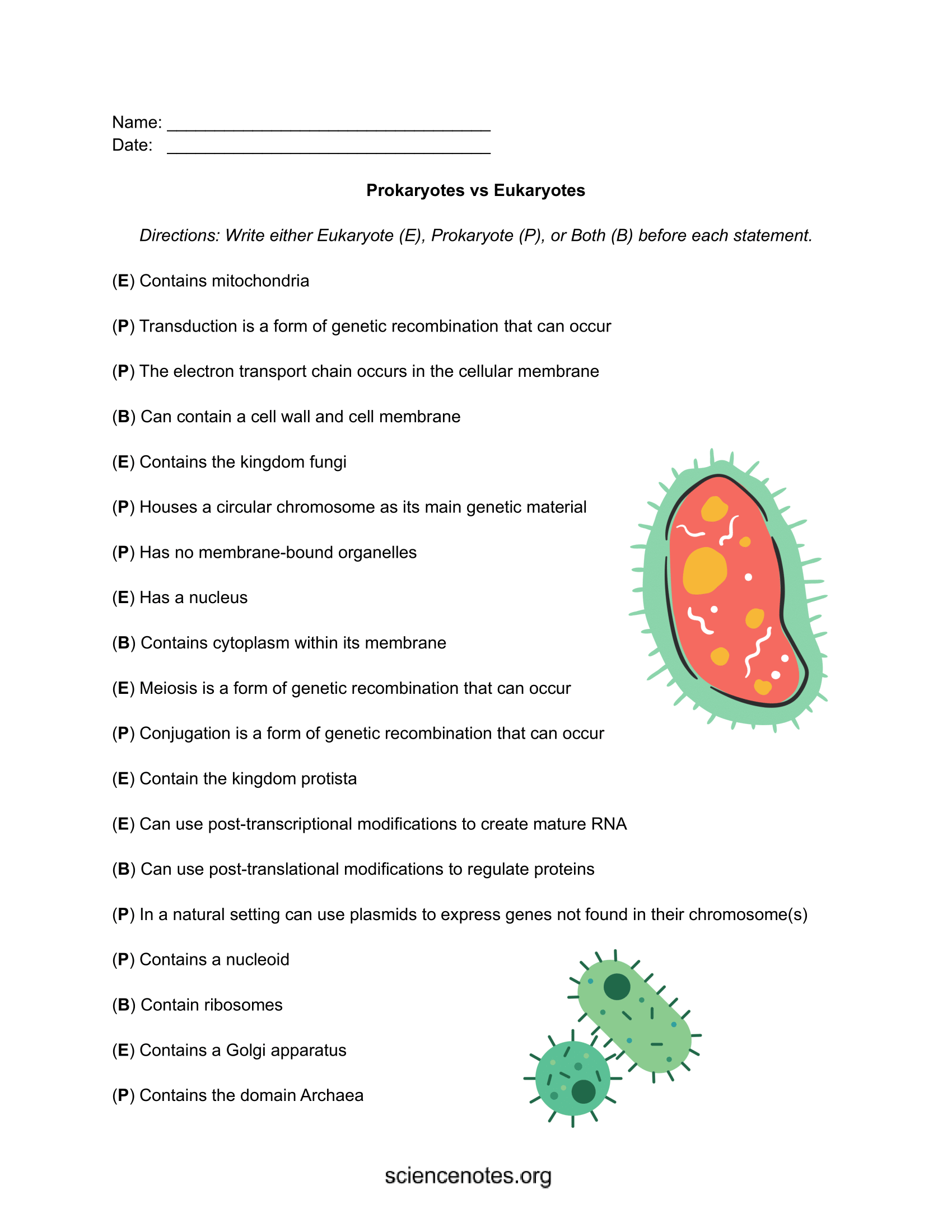 Prokaryotic And Eukaryotic Worksheet Lecture Notes Genetics Docsity