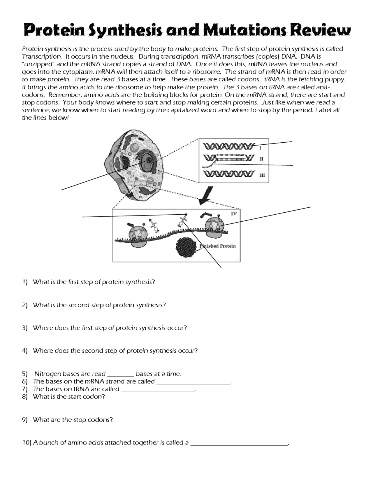 Protein Synthesis Transcription And Translation High School Biology Exercises Slides Biochemistry Docsity