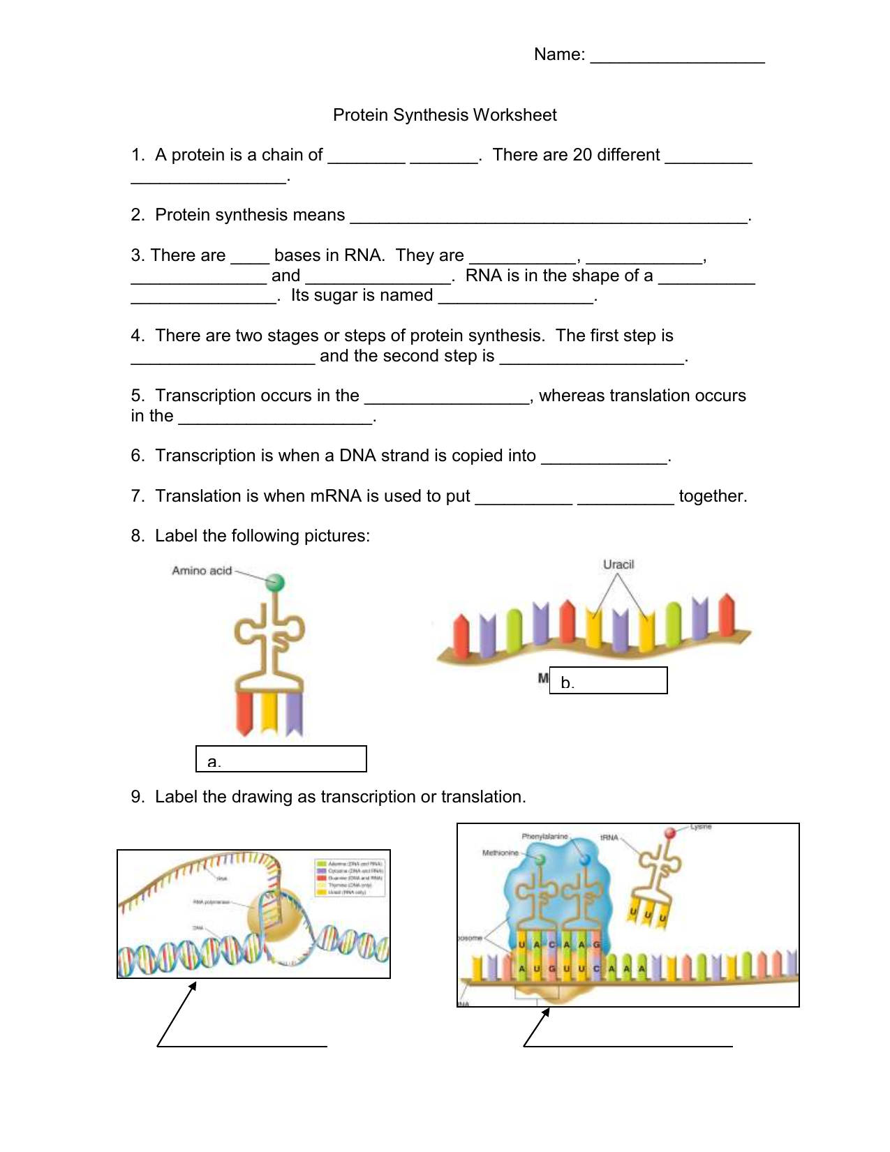 Protein Synthesis Worksheet Protein Synthesis Worksheet