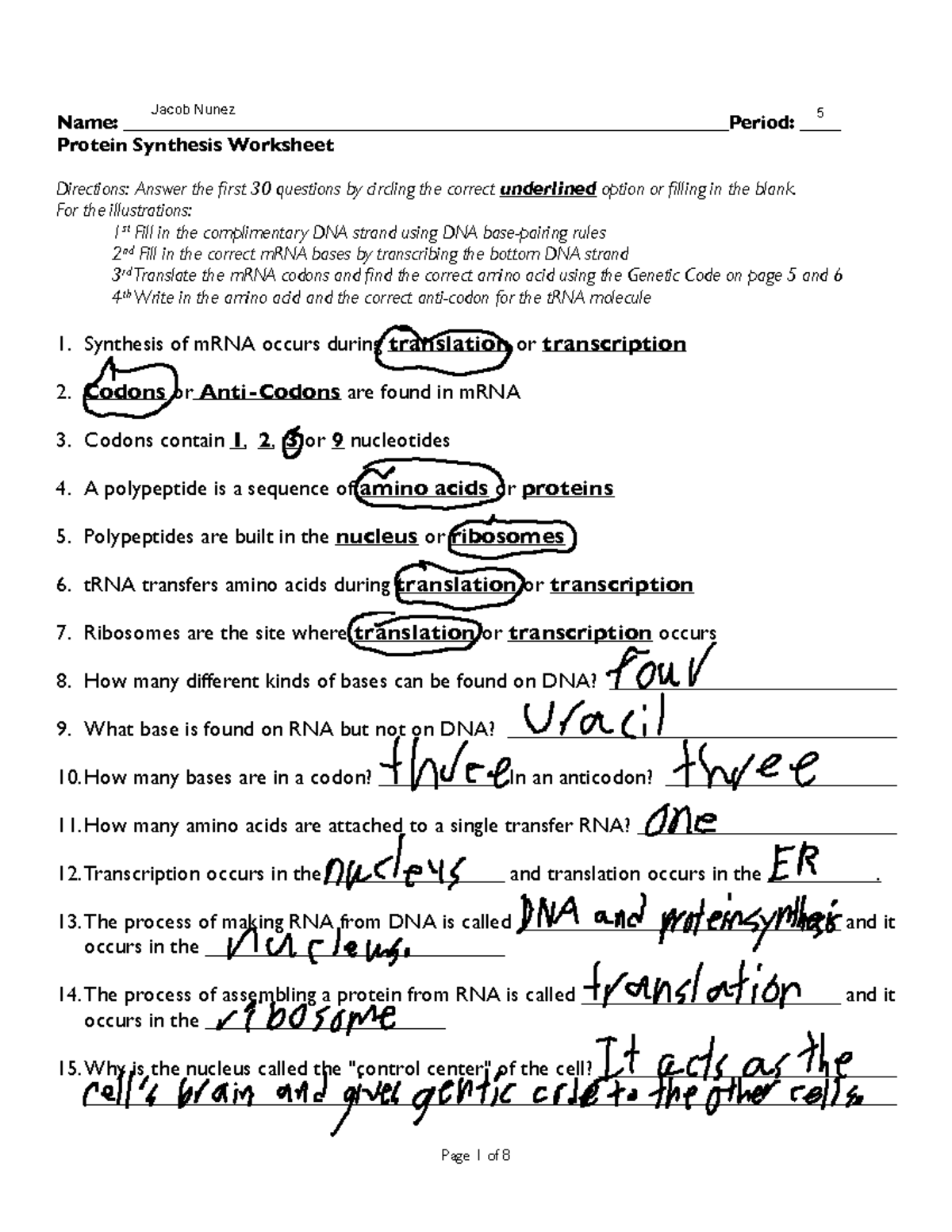 Protein Synthesis Worksheet Biology 101 Exercises Studocu Protein Synthesis Worksheet