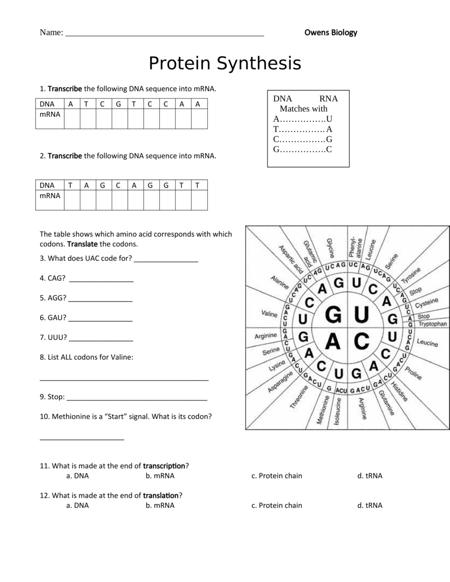KEY Protein Synthesis Notes Packet