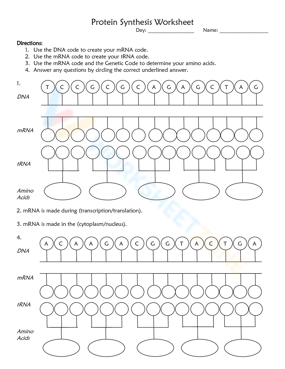 Protein Synthesis Worksheets Protein Synthesis Worksheets