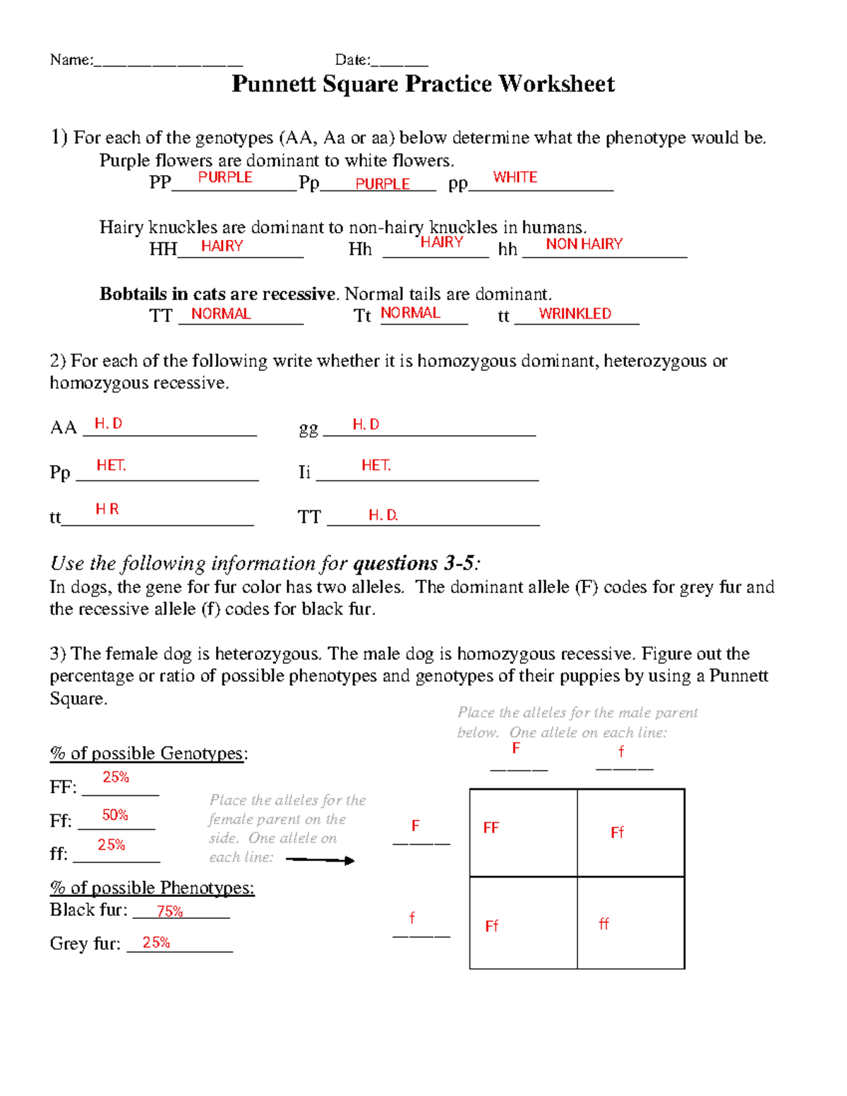 Punnett Square Practice Worksheet Genetics Techniques And Examples Studocu