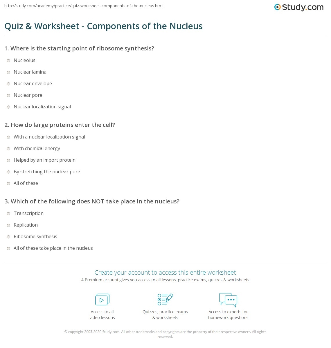 Quiz Worksheet Components Of The Nucleus Study Quiz Worksheet Components Of The Nucleus Study