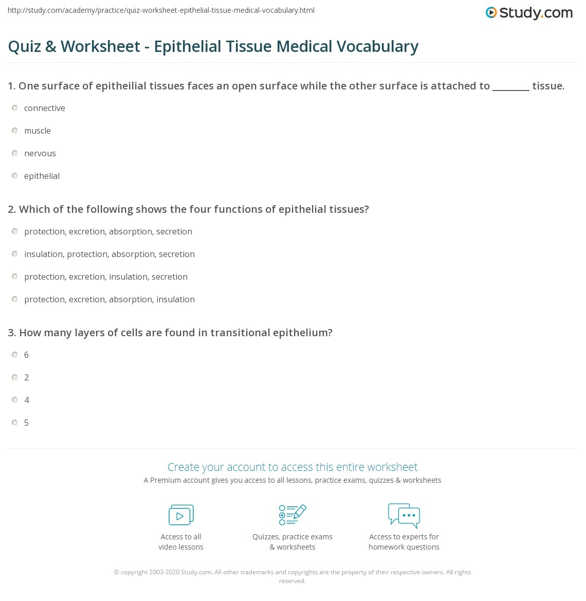 Quiz Worksheet Epithelial Tissue Medical Vocabulary Study