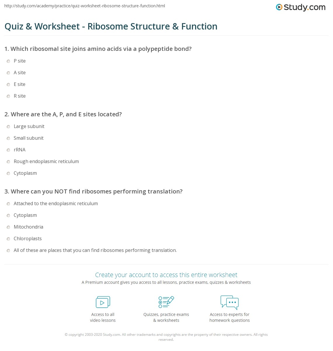 Quiz Worksheet Ribosome Structure Function Study