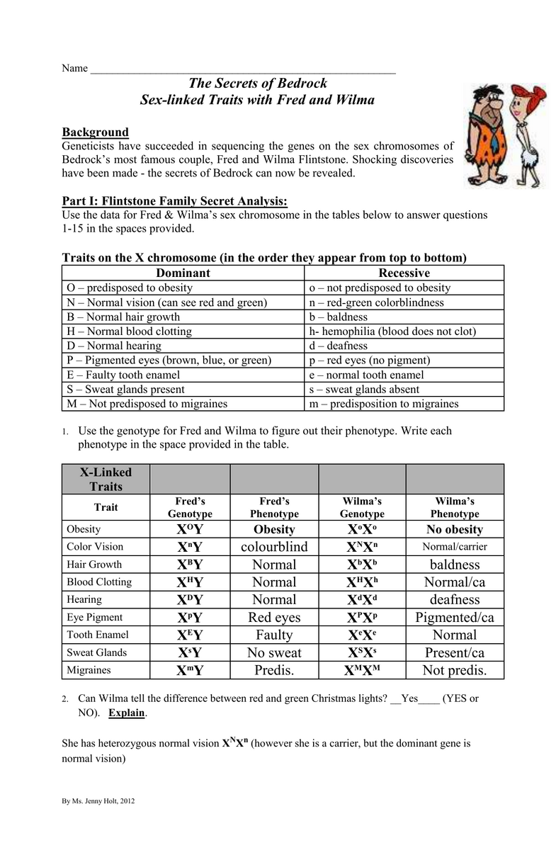 Sex Linked Traits Flintstones Genetics Worksheet