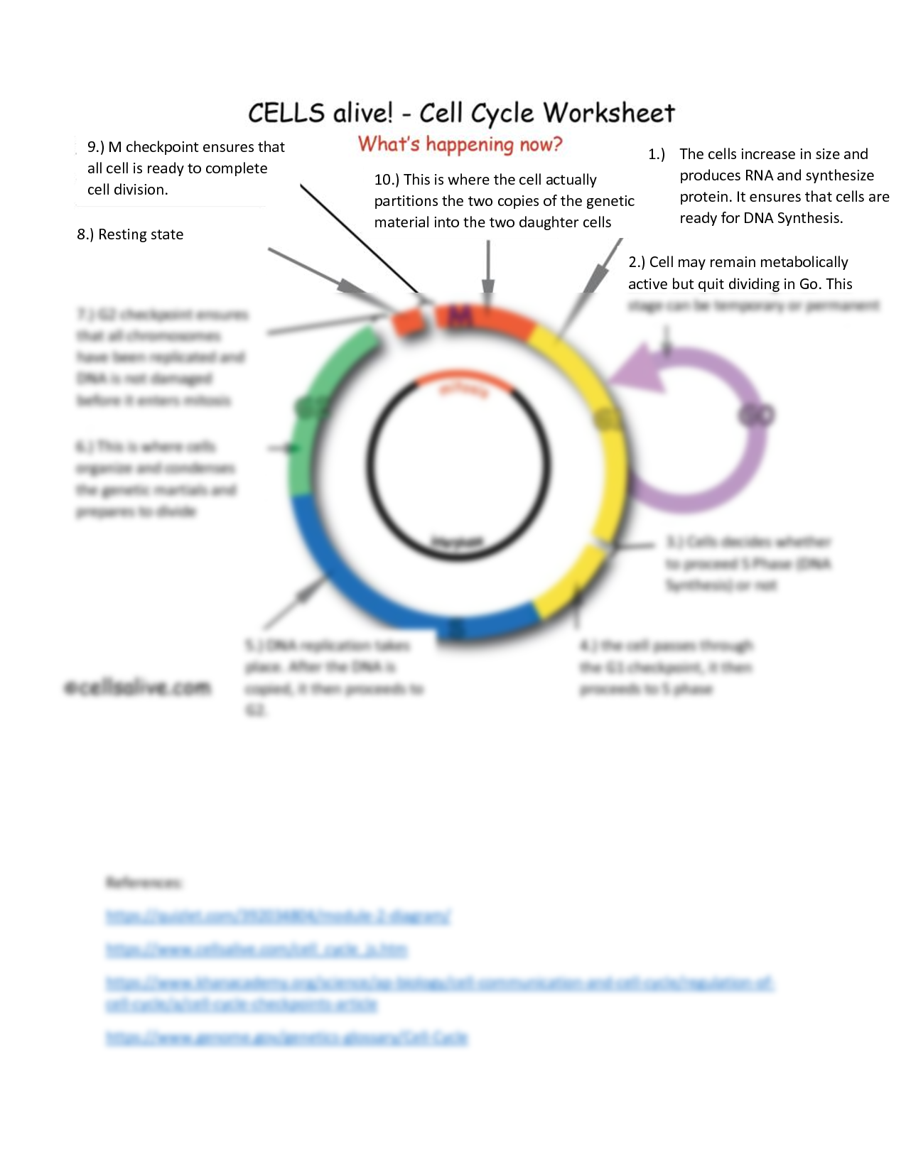 SOLUTION Cells Alive Cycleworksheet2 Studypool Worksheets Library SOLUTION Cells Alive Cycleworksheet2 Studypool Worksheets Library