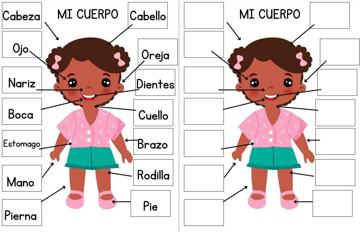 SPANISH Body Parts For Kids Interactive Printable Study Guide Body Anatomy Science Unit Healthcare Study Etsy