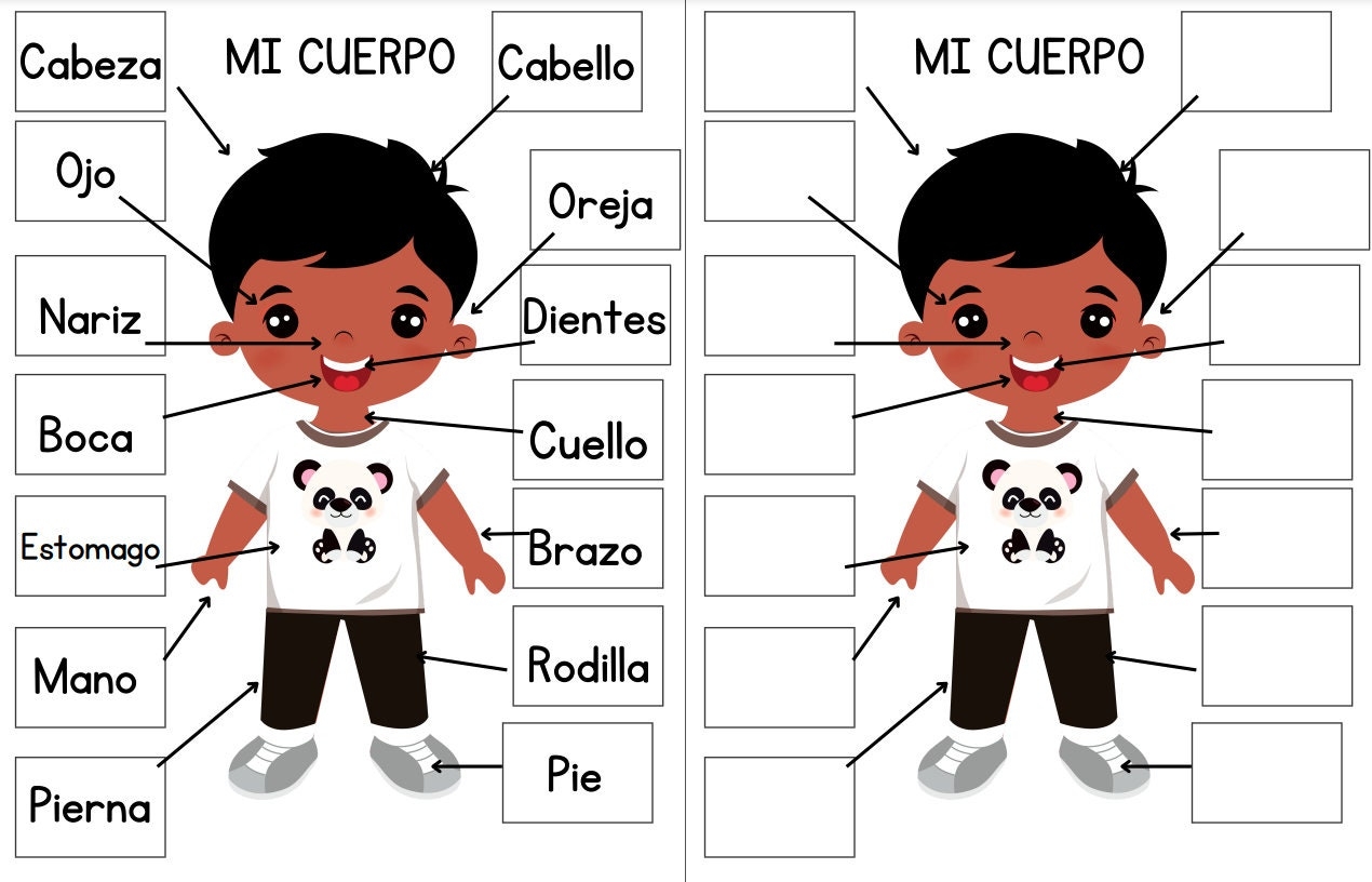 Body Parts In Spanish English Poster Download Spanish Basics Spanish Reference Guide Spanish Teacher Classroom Printable Espanol Etsy