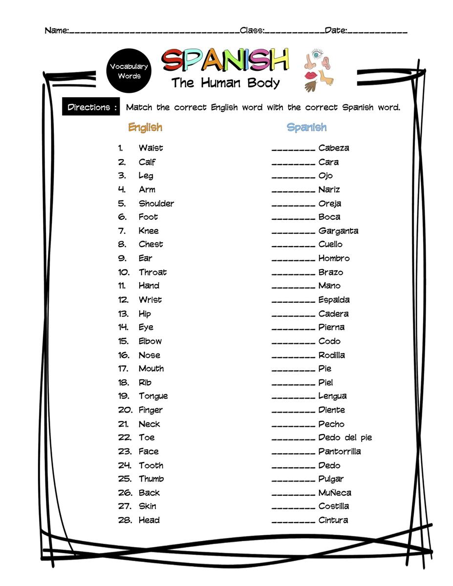 Spanish Human Body Vocabulary Matching Worksheet Answer Key Made By Teachers Spanish Human Body Vocabulary Matching Worksheet Answer Key Made By Teachers