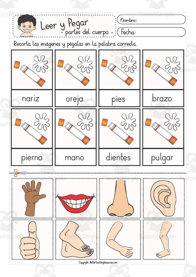 Spanish Vocabulary Practice Sheet Body Parts Cut And Paste By Teach Simple