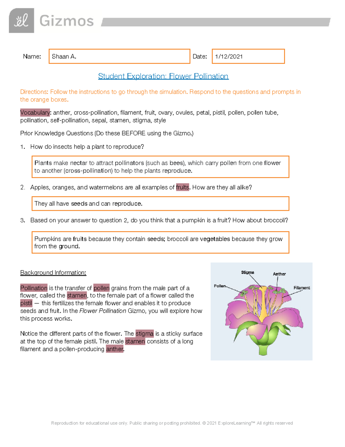 Study Guide Flower Pollination Gizmo Exploration Studocu Flower Pollination Student Exploration Gizmo Activity Guide Studocu