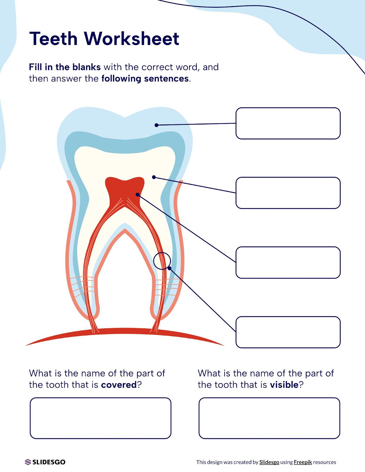 Teeth Worksheet Template