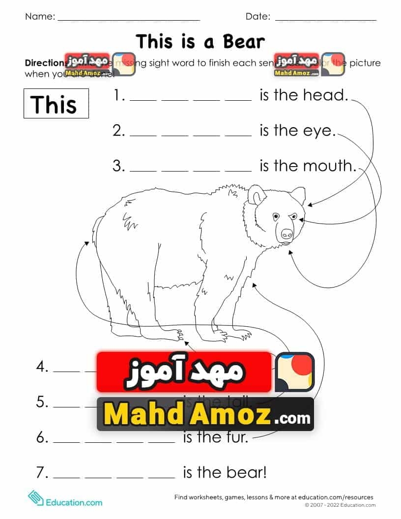 This Is A Bear