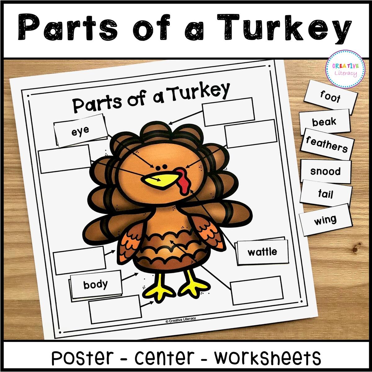 Turkey Labeling Activity Classful