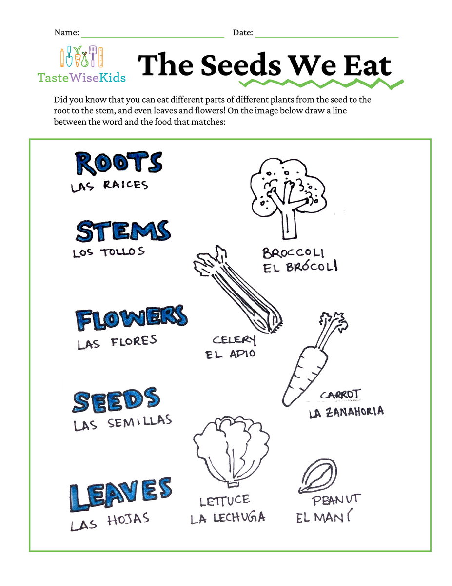 TWKatHome Activity Seeds And Plants TasteWise Kids