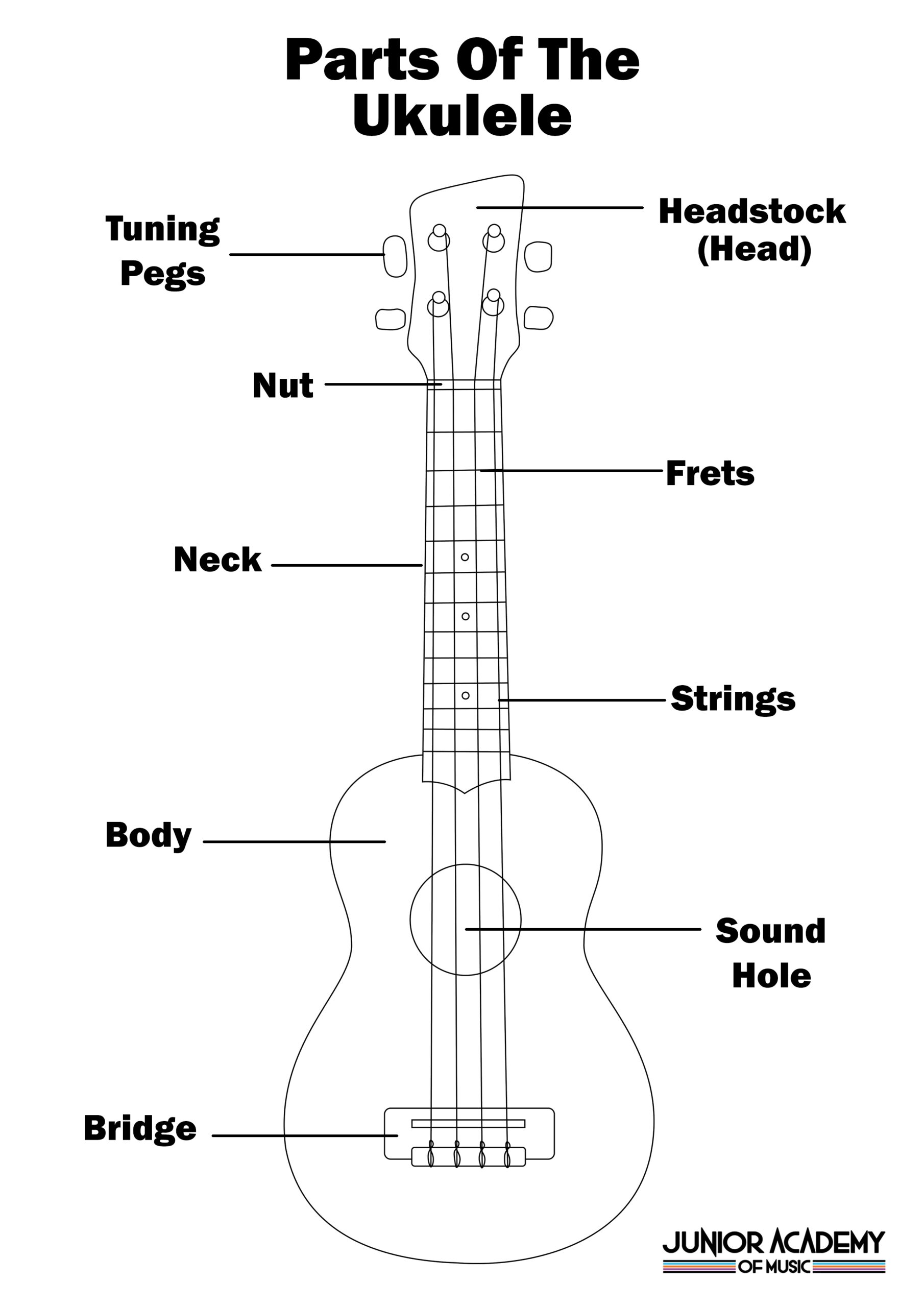 Ukulele Worksheets Library Ukulele Sizes And Anatomy Finding Your Perfect Fit At UKE Republic
