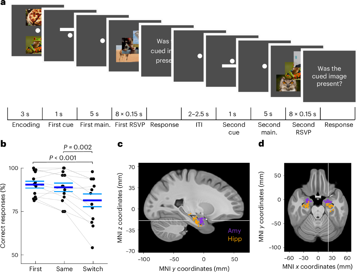 Unattended Working Memory Items Are Coded By Persistent Activity In Human Medial Temporal Lobe Neurons Nature Human Behaviour Unattended Working Memory Items Are Coded By Persistent Activity In Human Medial Temporal Lobe Neurons Nature Human Behaviour