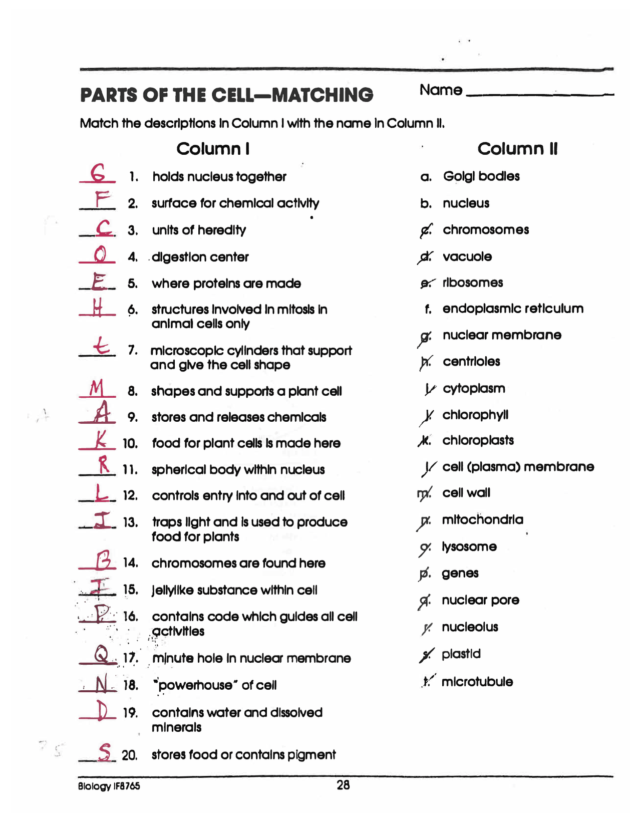 Unit Three 0871 Biology Worksheets Library
