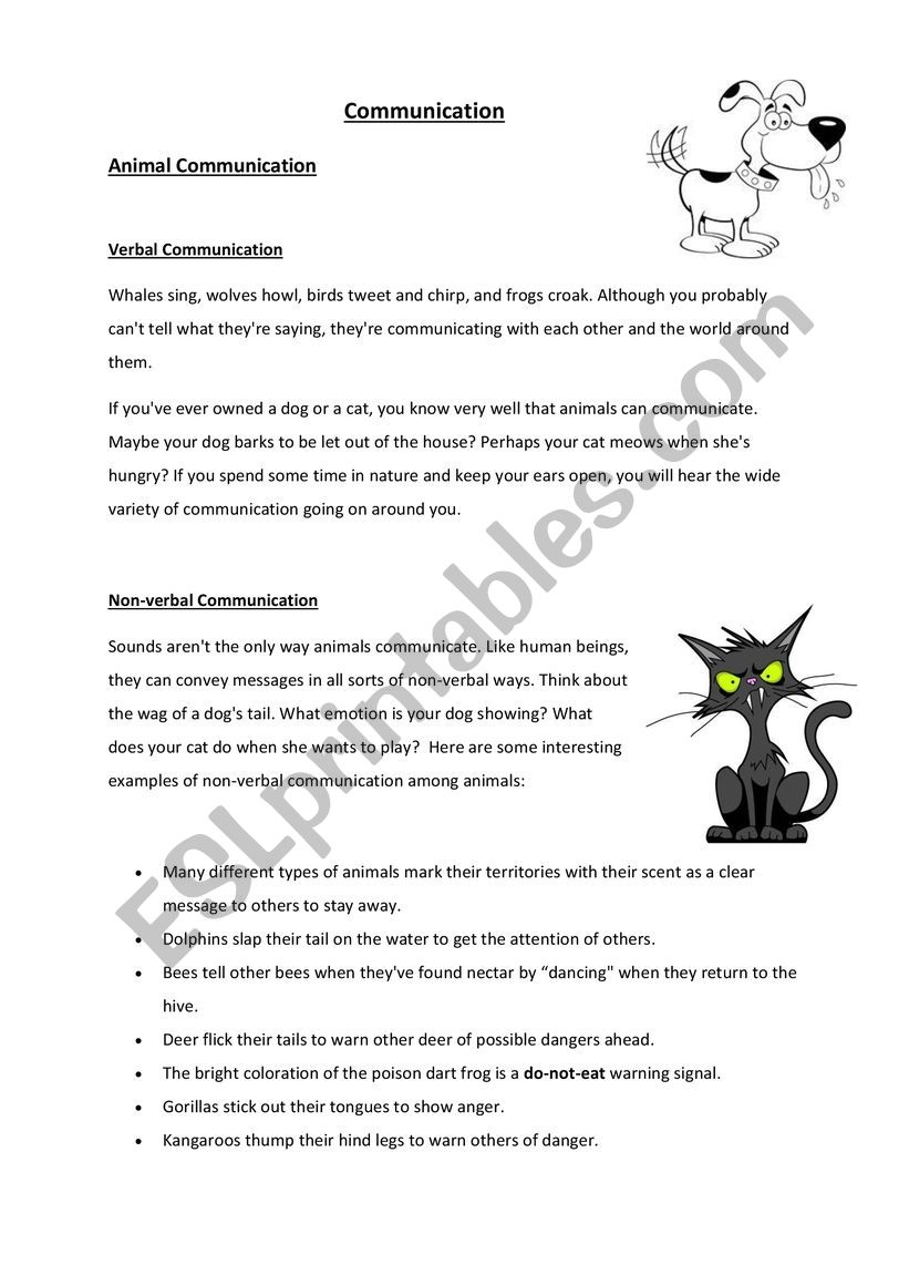Verbal And Non Verbal Communication ESL Worksheet By Englishreader
